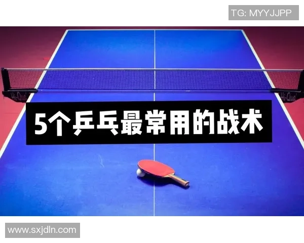 南京乒乓球队整体压制战术解析与实战应用探讨