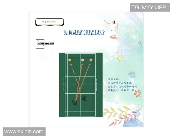 成都羽毛球队在锦标赛中的默契配合与战术分析探讨