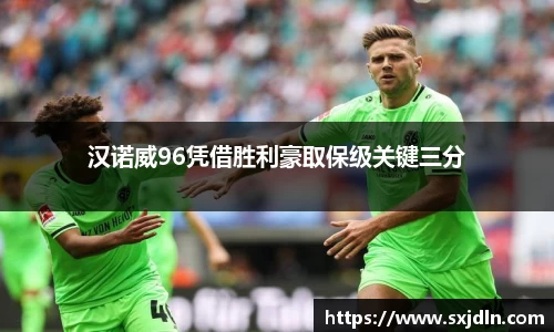 汉诺威96凭借胜利豪取保级关键三分