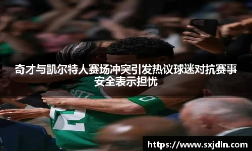 奇才与凯尔特人赛场冲突引发热议球迷对抗赛事安全表示担忧